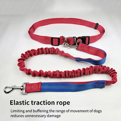 Pet Leash Multifunctional Dog Walking Leash Stretchable Elastic Explosion-Proof Punch Outdoor Running Dog Walking Leash