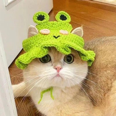 Cross-border selling cat and dog hats hand-knitted hats travel pet cute mini hats