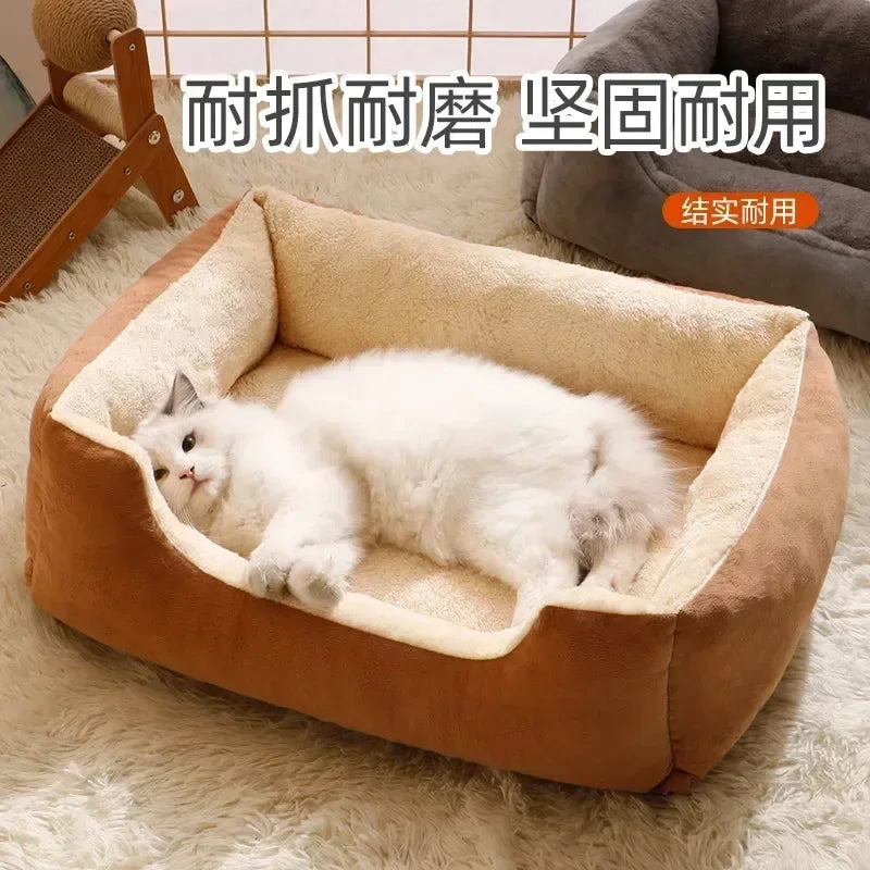 Bed for Cats Pet Products Cushions Kitten Goods Accessories Dog All Houses Supplies Things Accessory Habitats Basket House Beds