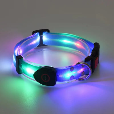 Led Light Up Dog Leash Walking Safety Glow in The Dark USB Rechargeable Adjustable for Large Medium Small Pet Lighted Dog Collar