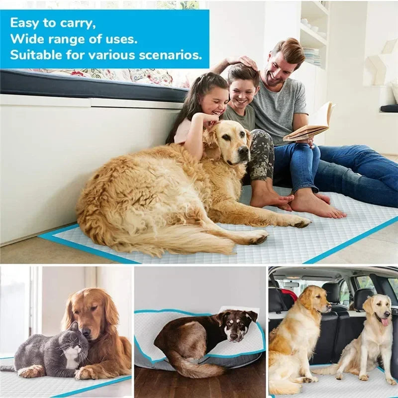 Pet Dog Disposable Diapers Mat Panties Absorbent Training Pee Floor Towel for Dogs Cat Nappies Puppy Physiological Supplies Pads