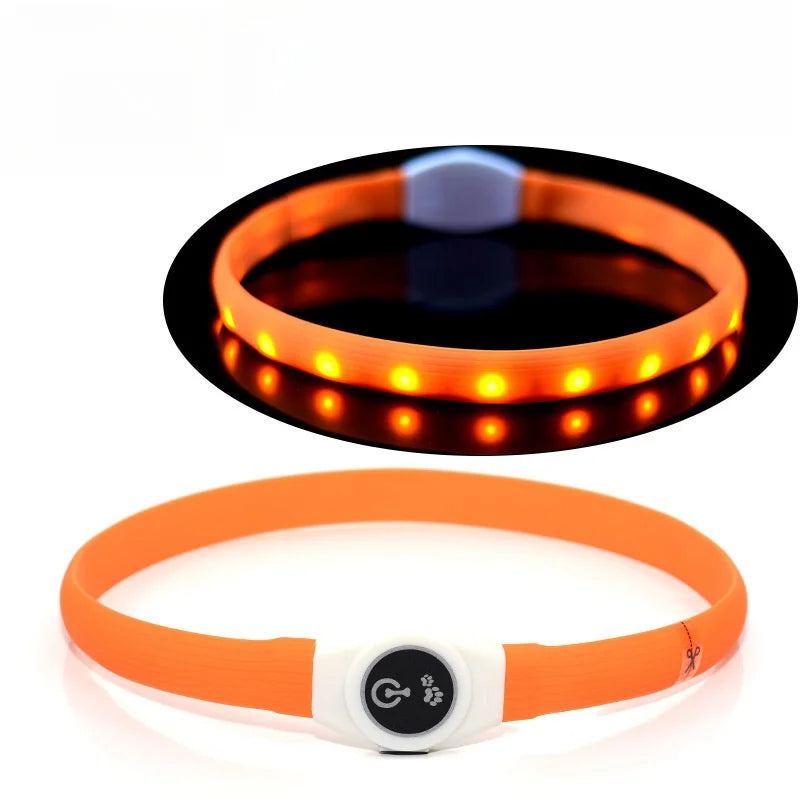 Collare luminoso a LED per cani impermeabile - ricaricabile tramite USB e regolabile