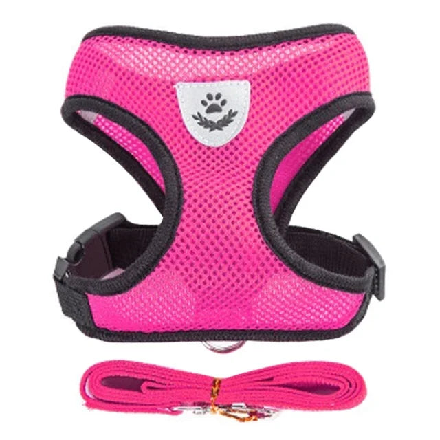 Pet Harness Adjustable Vest Walking Traction Rope Set for Dog Collar Breathable Mesh Harness for Small Medium  Cat Collar