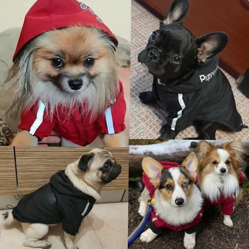 THE DOG FACE Waterproof Reflective Winter Jacket for Small & Medium Dogs