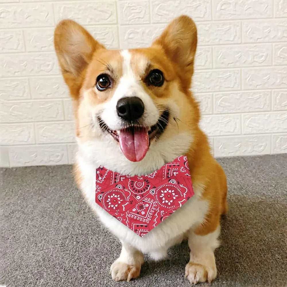 Trendy Reversible Dog Bandanas  Fashionable  Comfortable Pet Accessories with Dual-Sided Design Adjustable Collars Pet Puppy Cat