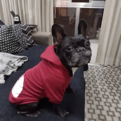 THE DOG FACE Pet Dog Hoodies for Autumn and Winter - Stylish & Comfortable Dog Apparel