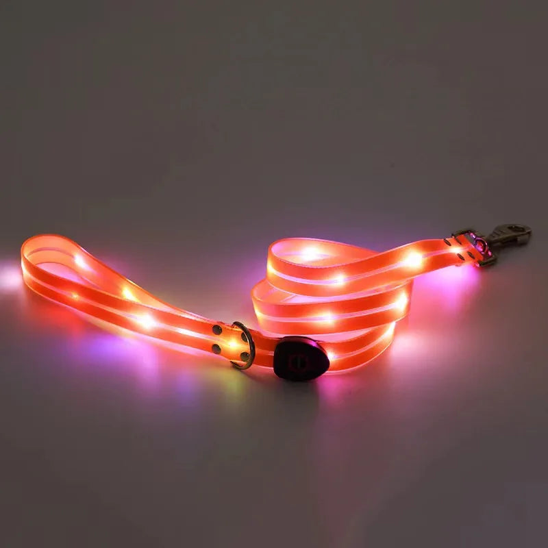 Led Light Up Dog Leash Walking Safety Glow in The Dark USB Rechargeable Adjustable for Large Medium Small Pet Lighted Dog Collar