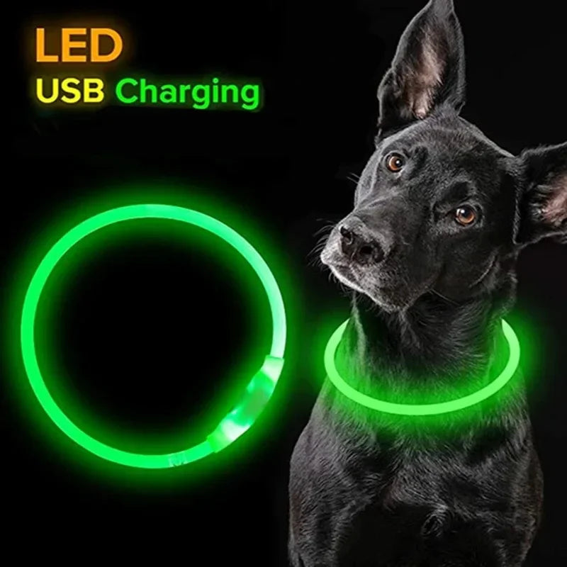 Dog Collar Luminous Usb Cat Dog Collar 3 Modes Led Light Glowing Loss Prevention LED Collar For Dogs Pet Dog Accessories