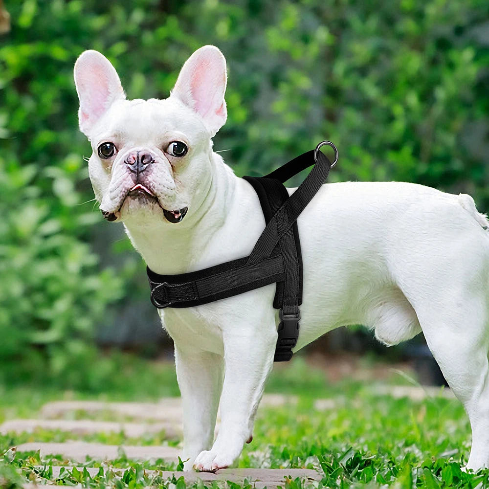 Nylon Padded Dog Harness Vest Adjustable Pet Cat Vest Soft Outdoor No Pull French Bulldog Chihuahua Pet Puppy Harness Vest Perro