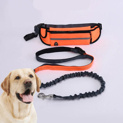 Hands Free Dog Leash for Running Walking Reflective Leash with Waist Bag Retractable Elastic Belt Dog Traction Rope Pet Products