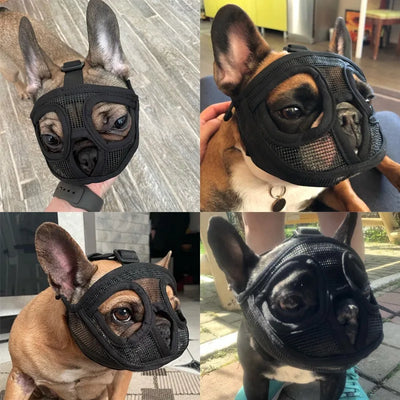 Pet Dog Muzzles Adjustable French Bulldog Muzzle Dog Mouth Mask Breathable Muzzle for Anti Stop Barking Supplies Prevent Biting