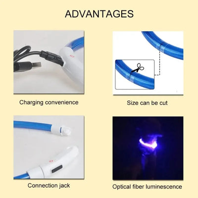 Dog Collar Luminous Usb Cat Dog Collar 3 Modes Led Light Glowing Loss Prevention LED Collar For Dogs Pet Dog Accessories