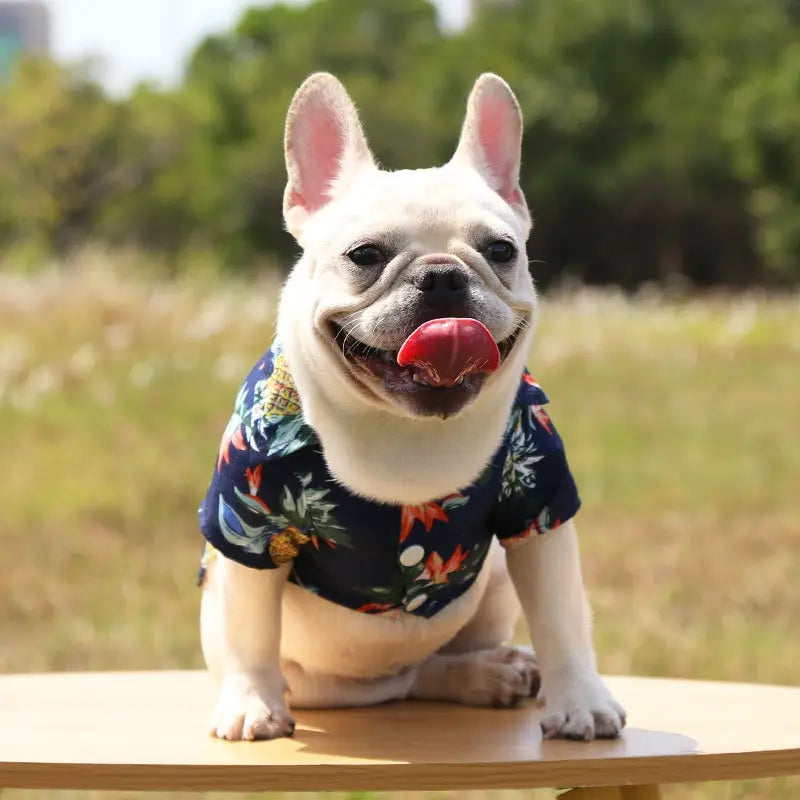 1pc Hawaiian Beach Style Dog T-Shirts Thin Breathable Summer Dog Clothes for Small Dogs Puppy Pet Cat Vest