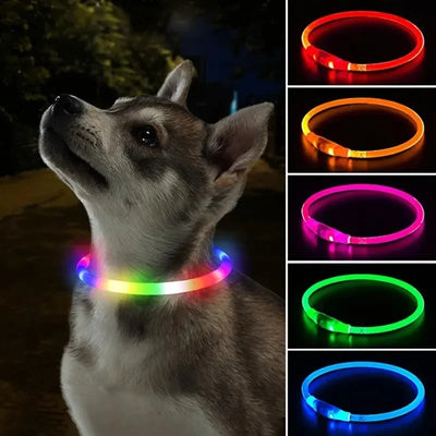 Dog Collar Luminous Usb Cat Dog Collar 3 Modes Led Light Glowing Loss Prevention LED Collar For Dogs Pet Dog Accessories