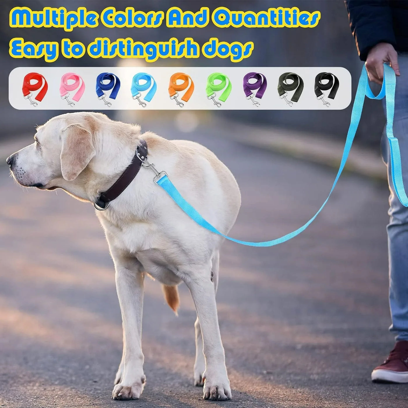 Nylon Dog Leash For Small Medium Large Dogs Puppy Walking Durable Strong Traction Rope Golden Retriever Labrador Pet Supplies