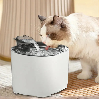 Cat Water Fountain Auto Recirculate Filtring Cats Dog Water Dispenser USB Electric Mute Pump Cat Ear Pet Cats Drinking Fountain