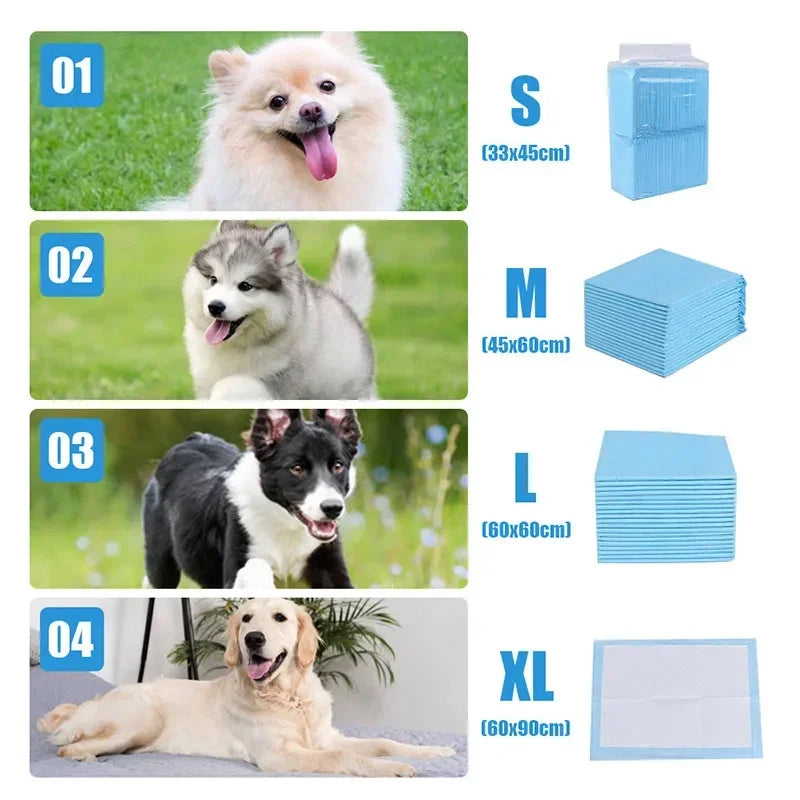 Pet Dog Disposable Diapers Mat Panties Absorbent Training Pee Floor Towel for Dogs Cat Nappies Puppy Physiological Supplies Pads