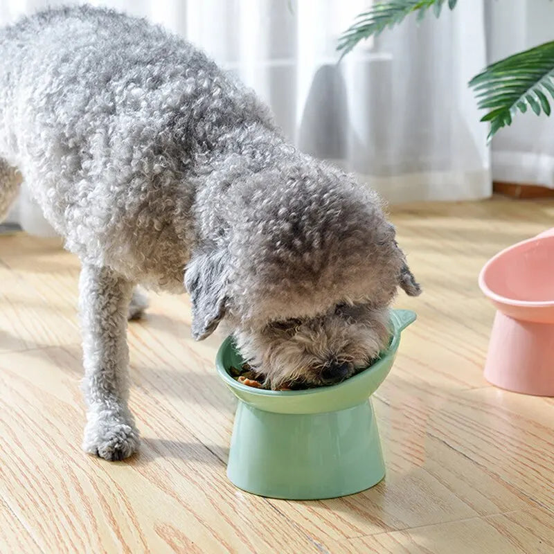 Pet Bowl High Bottom Tilt Antioverturning Neck Protector Cat Dog Food Water Dishes Lovely Feeding Bowl Cat Supplies