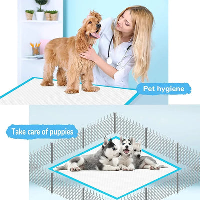 Pet Diaper Dog Training Pee Pads Disposable Healthy Nappy Mat For Cats Dog Diapers Quick-dry Surface Mat