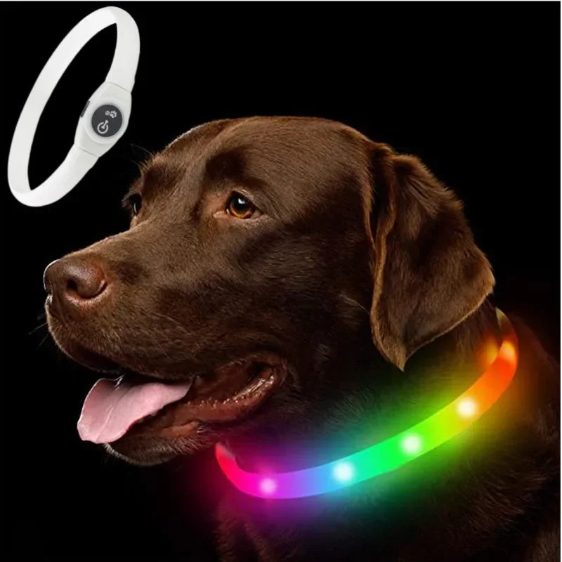 Collare luminoso a LED per cani impermeabile - ricaricabile tramite USB e regolabile