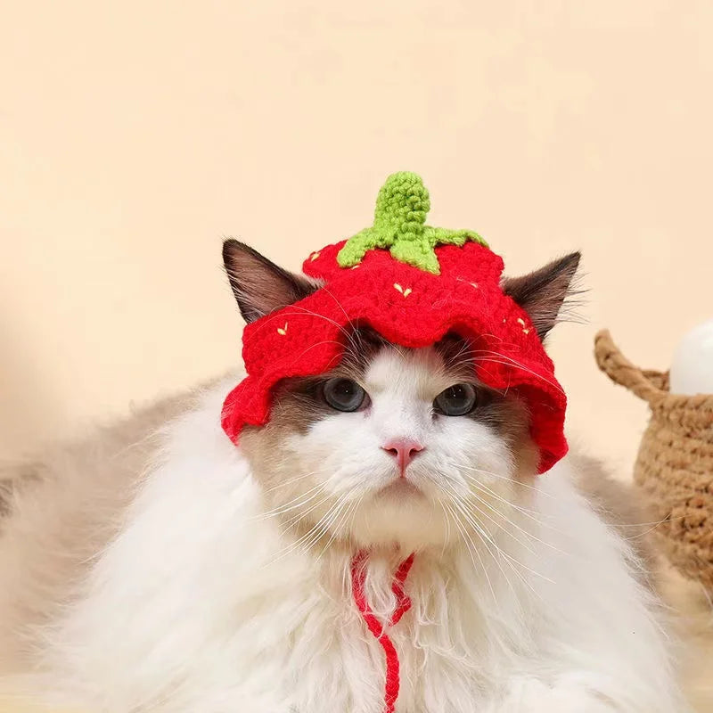 Cross-border selling cat and dog hats hand-knitted hats travel pet cute mini hats