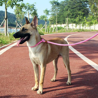 Dog Collar Slip Lead Dog Leash Nylon Solid Rope Leash Adjustable No Pull Training Dog Leash Medium And Large Dogs Pet Leashes