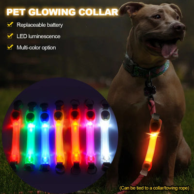 Dog Glowing Collar & Leash Anti Lost Safety Outdoor Waterproof Warning LED Flashing Light Strip Pet Harness Dog Accessories