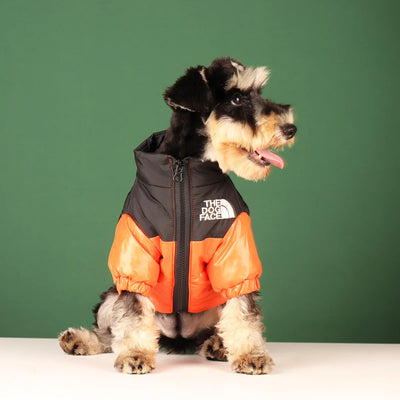 THE DOG FACE Winter Dog Jacket – Warm, Windproof & Reflective Coat for Small to Medium Dogs