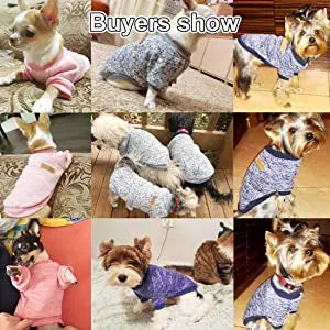 Dog Autumn/Winter Sweatshirt Colorful Thickened Soft And Warm Pet Pullover Clothes Classic Fashion Jacket For Cats And Dogs