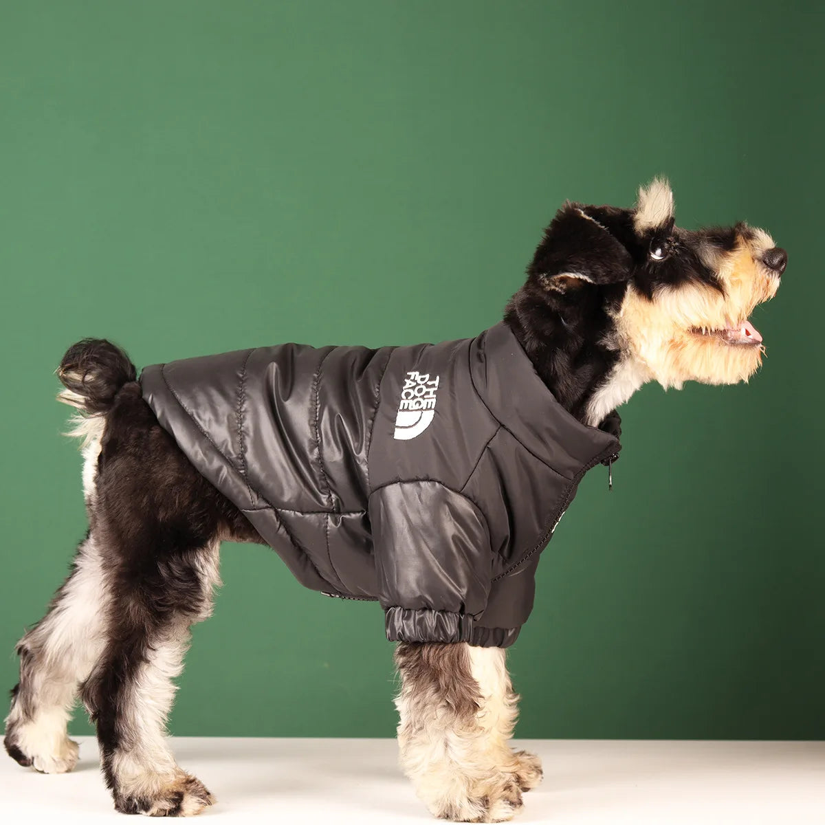 THE DOG FACE Winter Dog Jacket – Warm, Windproof & Reflective Coat for Small to Medium Dogs