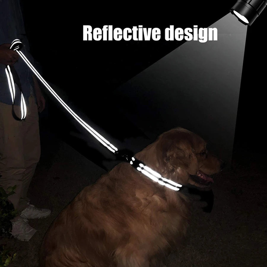 Pet leash, reflective flat rope at night, medium to large dog leash, available in multiple colors