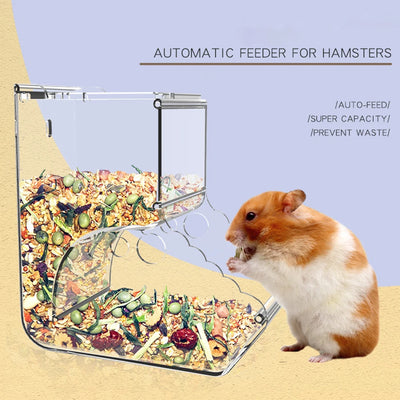 Acrylic hamster bird feeding box can fix squirrel pet food bowl, anti tipping automatic feeding device for hamsters and birds