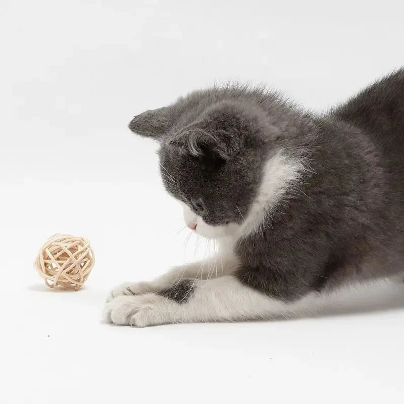 Rattan cat ball, faux feather fun toy, bell, interactive ball, pet supplies, 2 pcs.