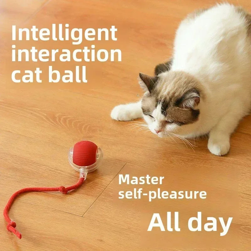 Cat Interactive Ball Toy Automatic Rolling Ball Faux Tail Rechargeable Smart Pet Electric Toy Dog Cat Training Imitate Mouse