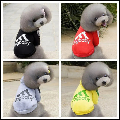 1 Piece Autumn and Winter Small Dog Cat VIP Teddy Pet Clothes Hooded Fleece Sports Two Legs Hoodie