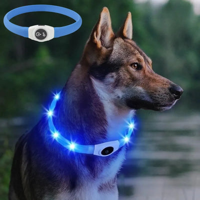 Collare luminoso a LED per cani impermeabile - ricaricabile tramite USB e regolabile