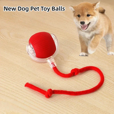 Cat Interactive Ball Toy Automatic Rolling Ball Faux Tail Rechargeable Smart Pet Electric Toy Dog Cat Training Imitate Mouse